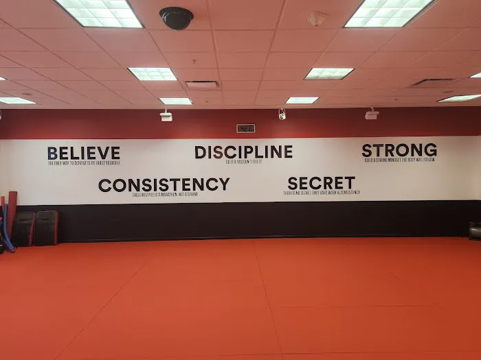 Strive Martial Arts Family Fitness Center Picture 1