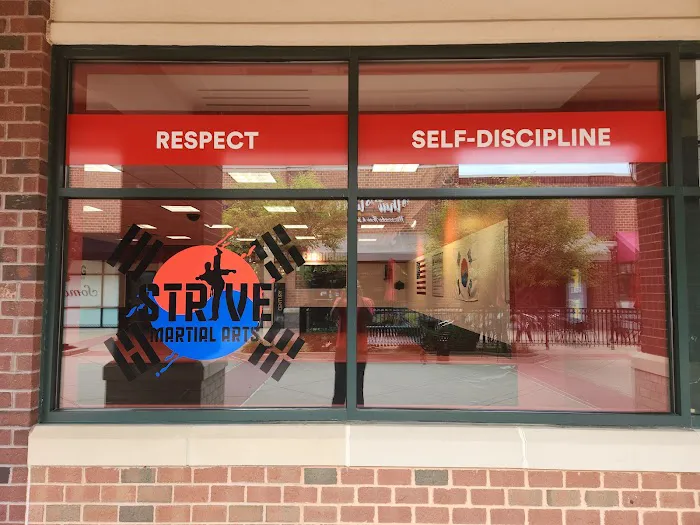 Strive Martial Arts Family Fitness Center Picture 5