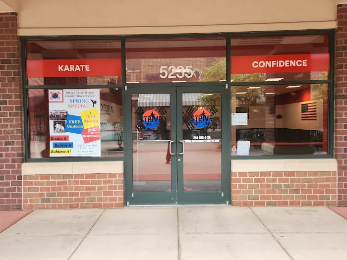 Strive Martial Arts Family Fitness Center Picture 4