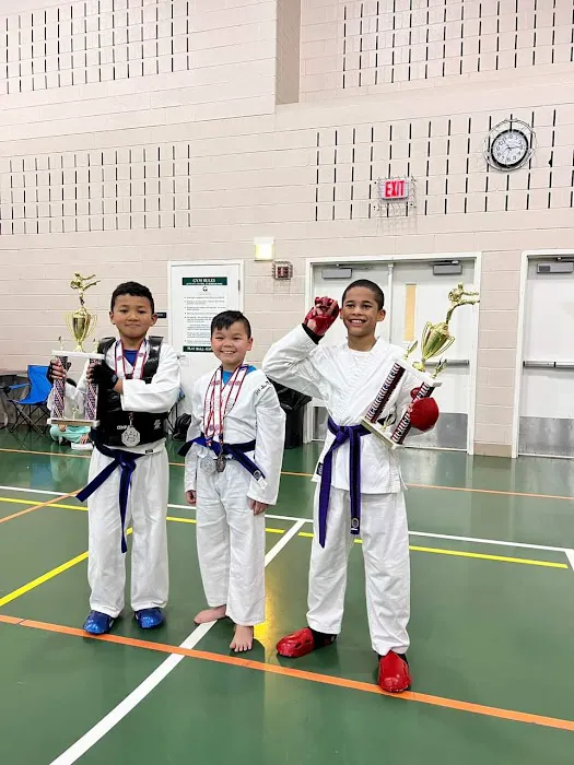 Strive Martial Arts Family Fitness Center Picture 2