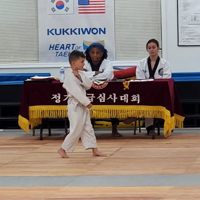 Tiger Masters Tae Kwon Do Picture 6