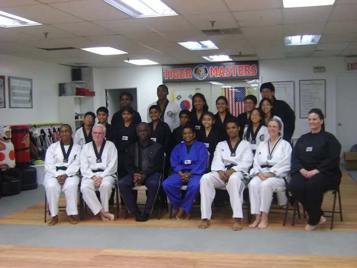 Tiger Masters Tae Kwon Do Picture 3