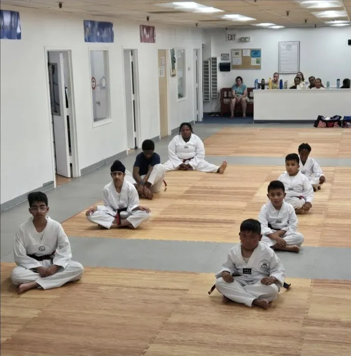 Tiger Masters Tae Kwon Do Picture 5