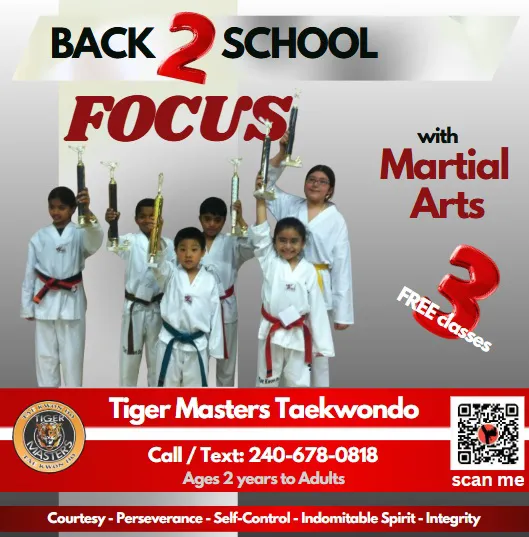 Tiger Masters Tae Kwon Do Picture 2