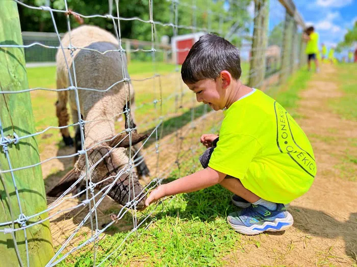 ONEKICK Martial Arts of Germantown / Clarksburg Picture 4
