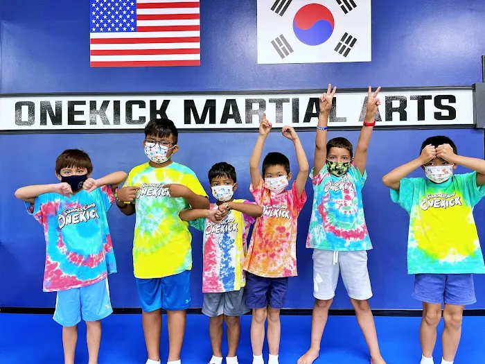 ONEKICK Martial Arts of Germantown / Clarksburg Picture 5