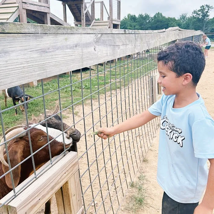 ONEKICK Martial Arts of Germantown / Clarksburg Picture 9