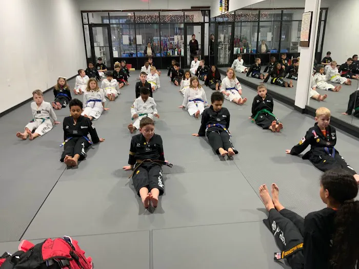 Kim’s Tae Kwon Do & After School program / Summer Camp Picture 9