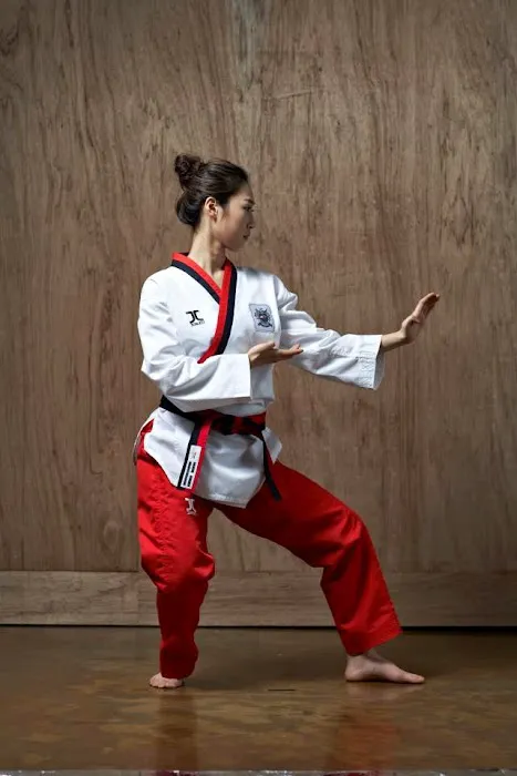 Kim’s Tae Kwon Do & After School program / Summer Camp Picture 8