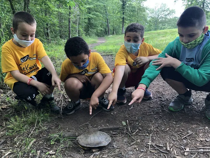 Kim’s Tae Kwon Do & After School program / Summer Camp Picture 10