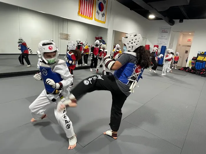 Kim’s Tae Kwon Do & After School program / Summer Camp Picture 1