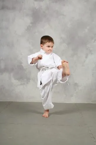 Challenge Martial Arts Picture 9