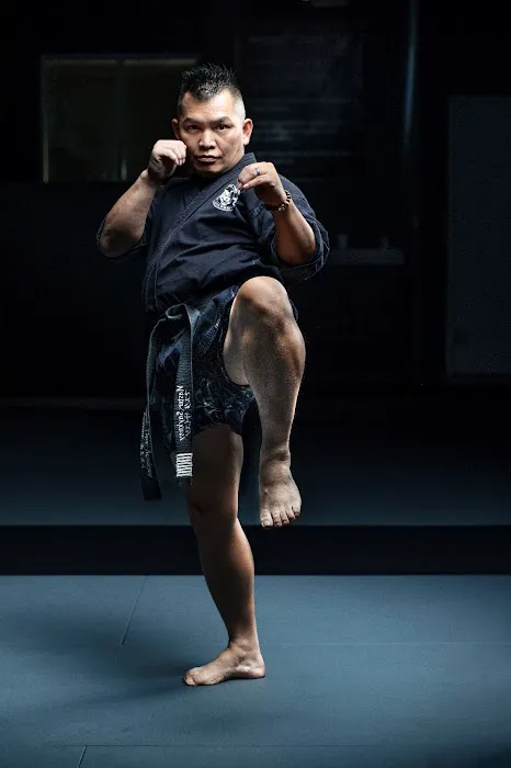 Royal Tiger Academy MMA Self Defense Martial arts Picture 3