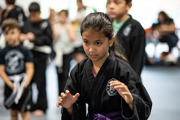 Royal Tiger Academy MMA Self Defense Martial arts Picture 2