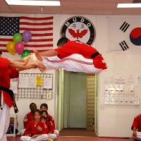 Authentic Taekwondo Academy, MUDO USA ico