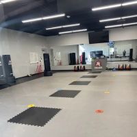 Tiger-Rock Martial Arts of Hagerstown MD ico