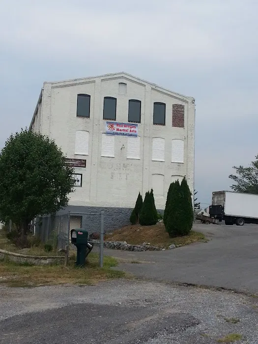 Red Dragon Martial Arts Picture 2