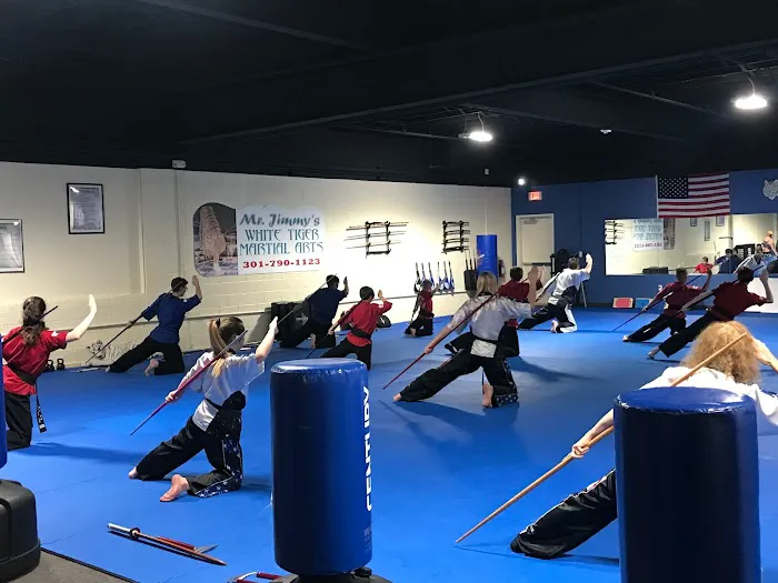 Mr Jimmy's White Tiger Martial Arts Picture 8