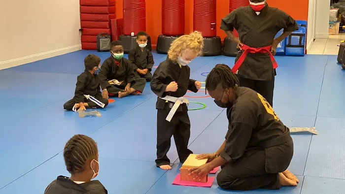 Courage Karate - Best Karate For The Whole Family Picture 2