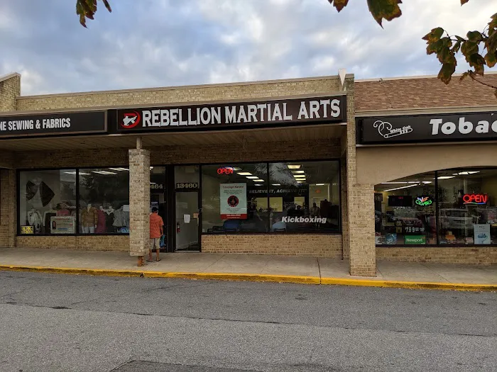 Courage Karate - Best Karate For The Whole Family Picture 4