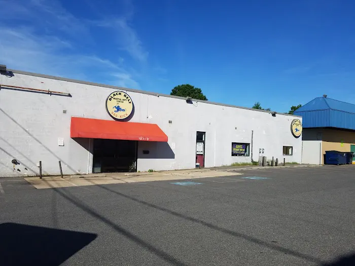 Black Belt Martial Arts Center Picture 4