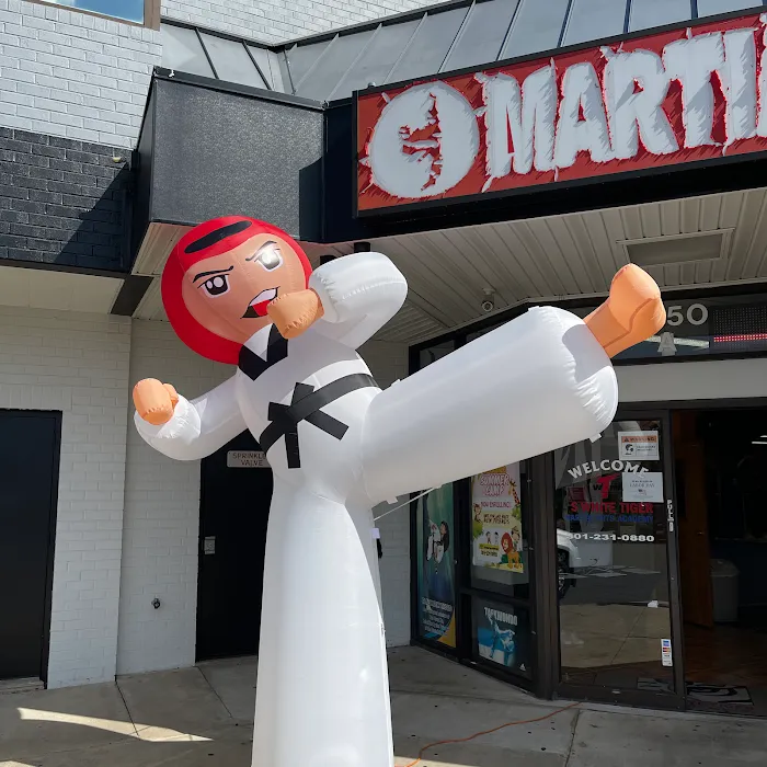 US White Tiger Martial Arts Picture 10