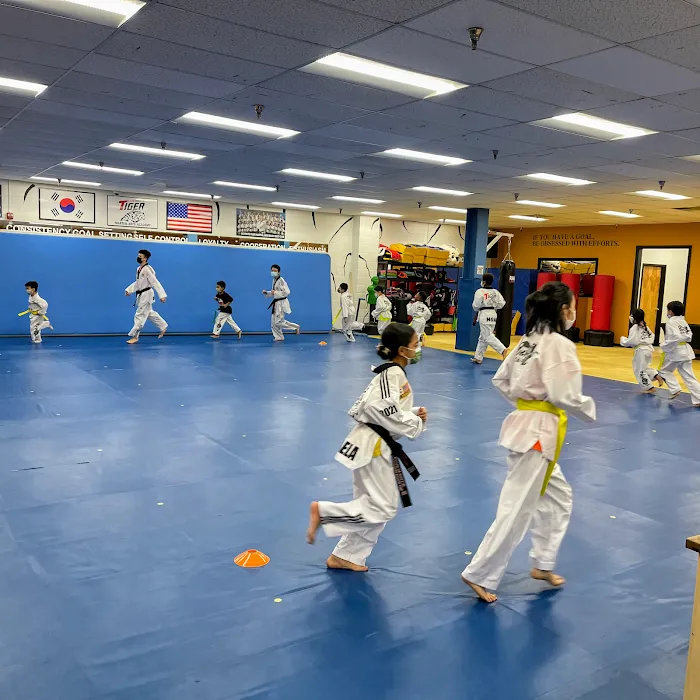 US White Tiger Martial Arts Picture 7