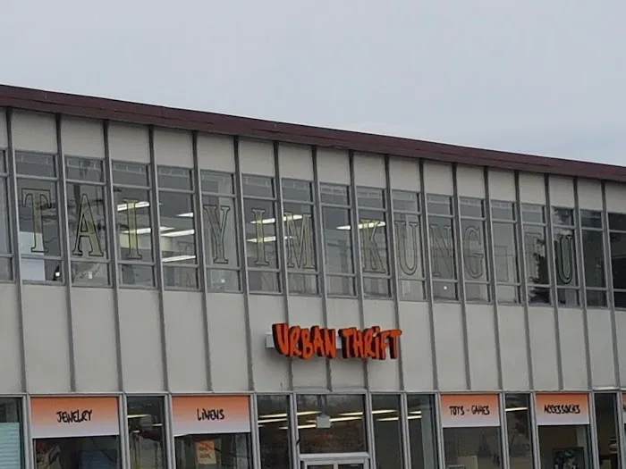 Shaolin Hung Fut Kung Fu School Picture 6