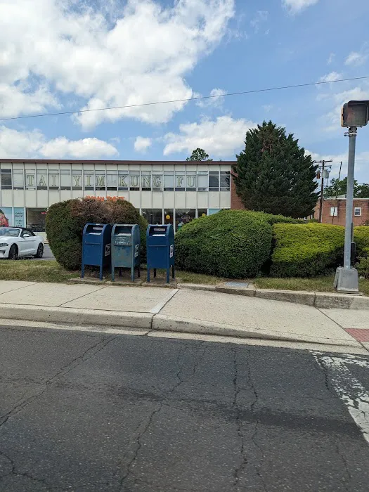 Shaolin Hung Fut Kung Fu School Picture 8