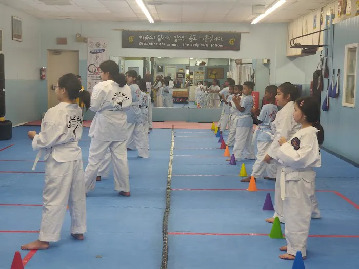 Gentle East Taekwondo Picture 4