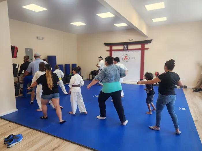 Taro Karate Picture 2