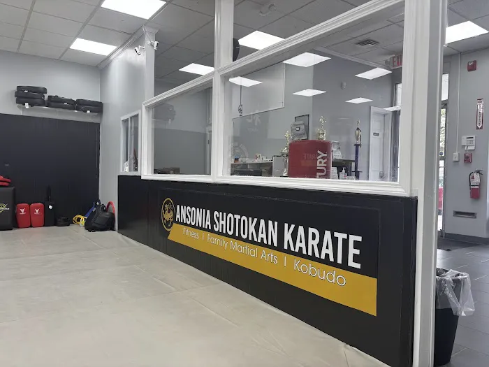 Ansonia Shotokan Karate Picture 2