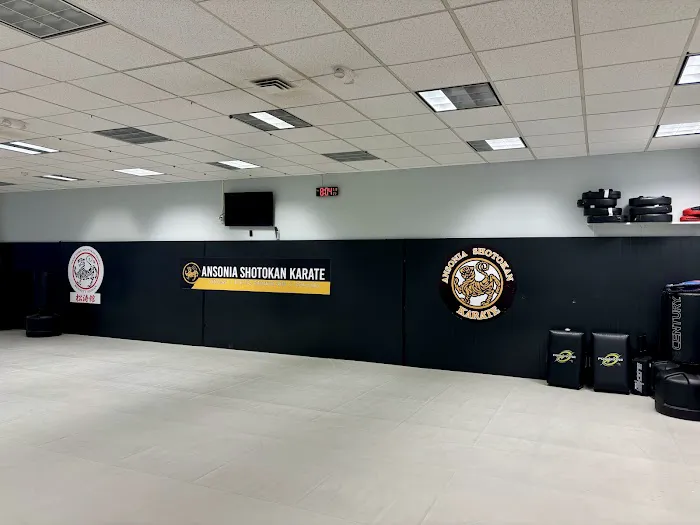 Ansonia Shotokan Karate Picture 1