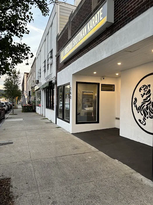 Ansonia Shotokan Karate Picture 3