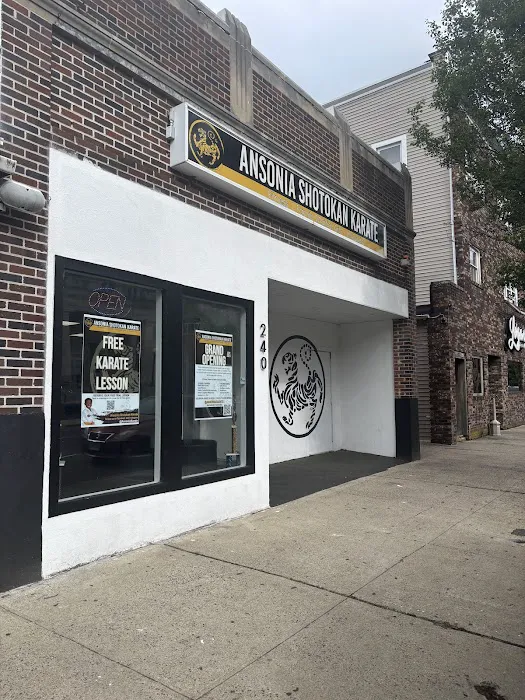 Ansonia Shotokan Karate Picture 5