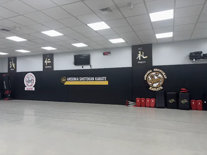 Ansonia Shotokan Karate Picture 4