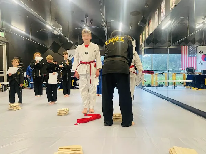 Tiger USA World Class TaeKwonDo & Family Martial Arts Picture 1