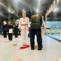 Tiger USA World Class TaeKwonDo & Family Martial Arts ico