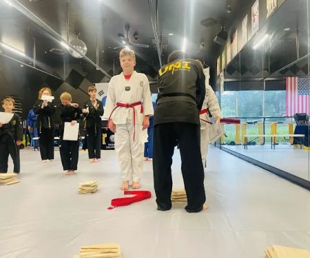 Tiger USA World Class TaeKwonDo & Family Martial Arts