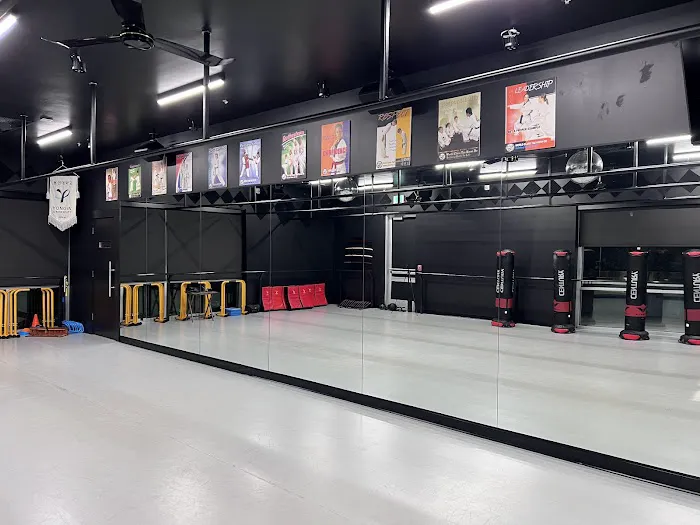 Tiger USA World Class TaeKwonDo & Family Martial Arts Picture 5