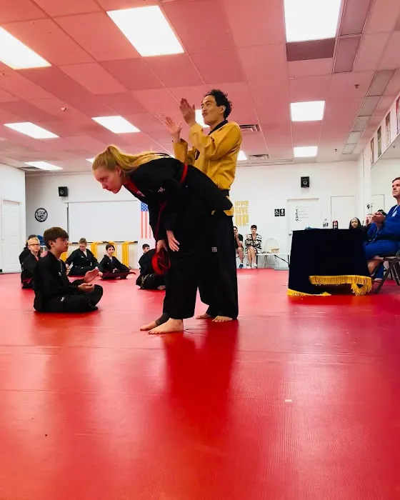 Tiger USA World Class TaeKwonDo & Family Martial Arts Picture 4