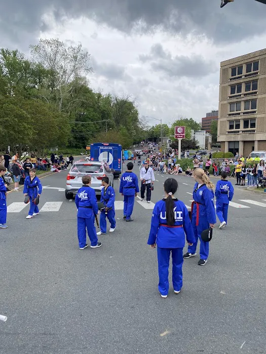 Tiger USA World Class TaeKwonDo & Family Martial Arts Picture 3