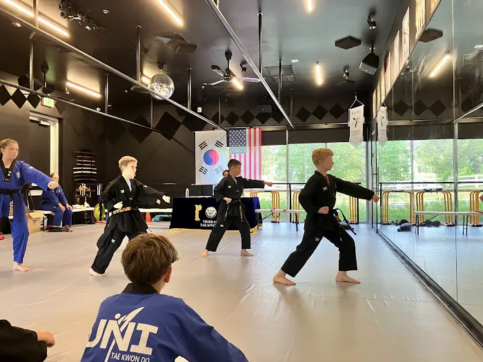 Tiger USA World Class TaeKwonDo & Family Martial Arts Picture 7