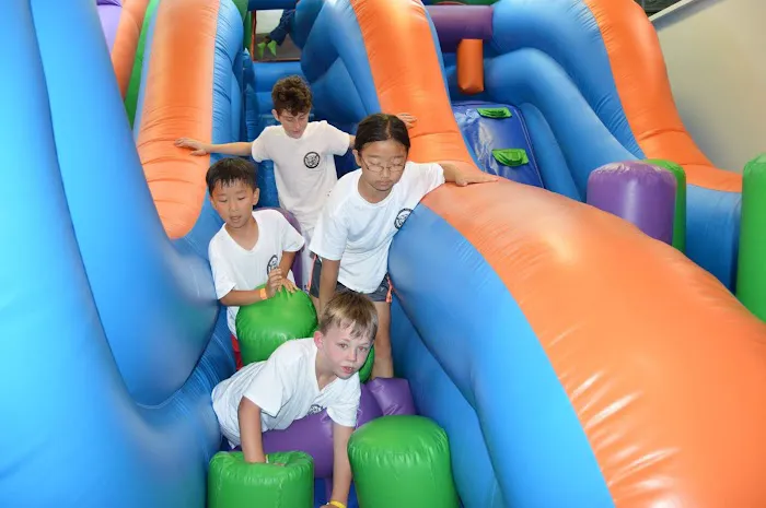 Tiger USA World Class TaeKwonDo & Family Martial Arts Picture 6