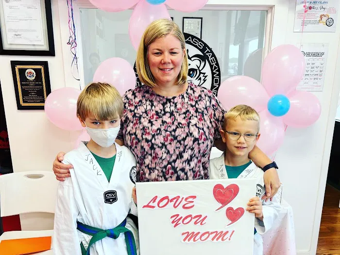 Tiger USA World Class TaeKwonDo & Family Martial Arts Picture 9