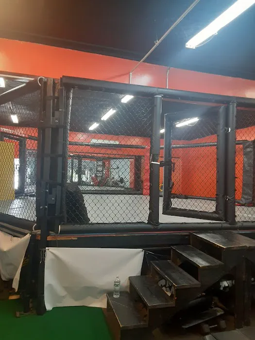 TKO Fitness MMA Club - formerly NY Ultimate Fit Zone Picture 5