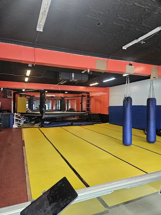 TKO Fitness MMA Club - formerly NY Ultimate Fit Zone Picture 3