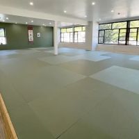 Aikido of Westchester ico