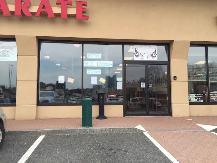 Bushido School of Karate Picture 5