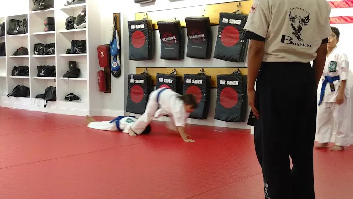 Bushido School of Karate Picture 2